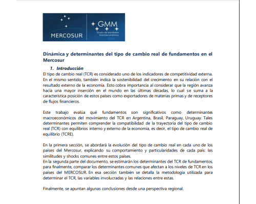 (GMM) Dinámica y determinantes del tipo de cambio real de fundamentos en el Mercosur  2 2020_ESP